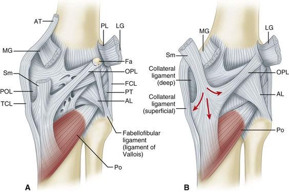 Isophit: Why Stretching Your Hamstring is Stupid. Do this instead. - Isophit