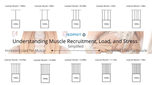 Isophit: As professional athletes, coaches, and trainers we need to be more specific when discussing muscles.
